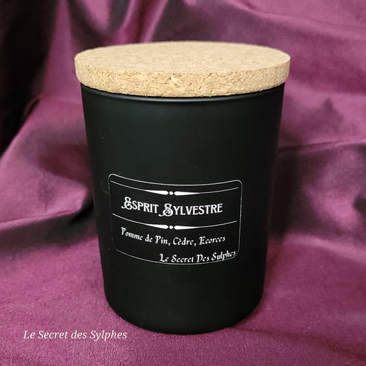 Bougie Esprit Sylvestre